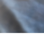 WHY!!