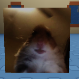 Raise A Hamster