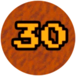Level 30
