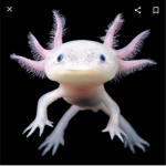 Axolotl Friend timE