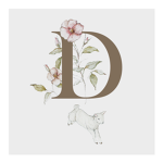 D.T Official Group