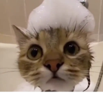 errrrrrrrrrrrrrrrrrrrrrrrrrrrrrrmelow
