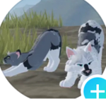 Warriors of the Cliffs (SnowStorm and SootStorm)