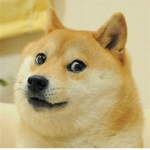 DOGE people group.