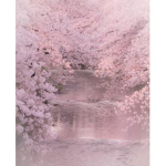 Sakura | ZO