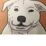 Dog nan
