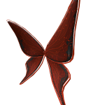 Dark Fairy Wings