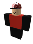 RX6000