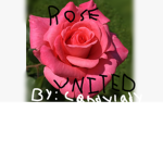 Rose United