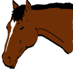 Horse Likers