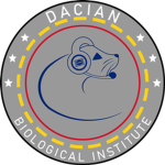 Rapid Action Team | DBI
