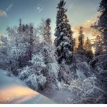 Winter Wonderworld