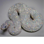 Silver snakesss