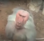 Best manface