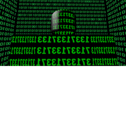 The Virus Obby