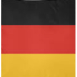 The German Forces Of Poland