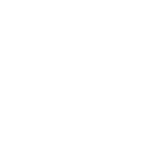 lazo de seda