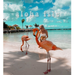 Aloha isle