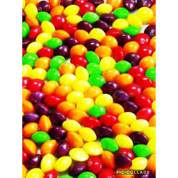 Skittle Everywhere Team's Place Number: #