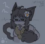 spoogles experimentation inc