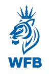 [WFB] world of boxing