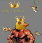 Duck gang….. ye!