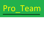 Pro_Teams team