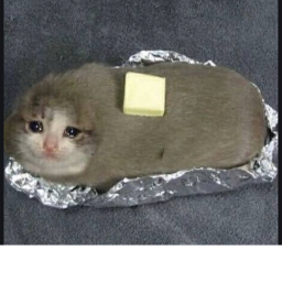 Potato's kitchen