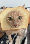 cut up bread games