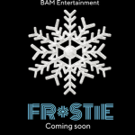 BAM Entertainment