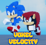 Voxel Velocity