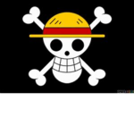[Ro-Piece]Straw Hat Pirates