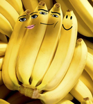 Bold bananas