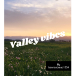 valley~vibes