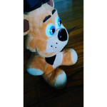 Robux give to my other account