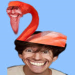 Flamingo OFFICIAL FANS Group