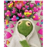 Help kermit the frog