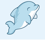 The Dolphin Diver Group