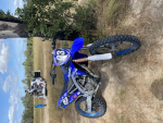 SHARDS84