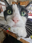 Enders Basement