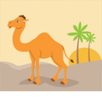 Be a camel!