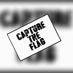 Capture the flag (basic)
