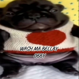 WASH MA BELLAY OBBY