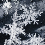 Frigid Prisims