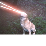 TheRagingDogesCommunity