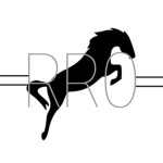 「 Roblox Riders Online 」