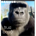 true boy$