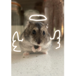 Miss you Maebel
