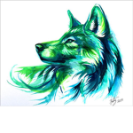 Wolf Gang <3