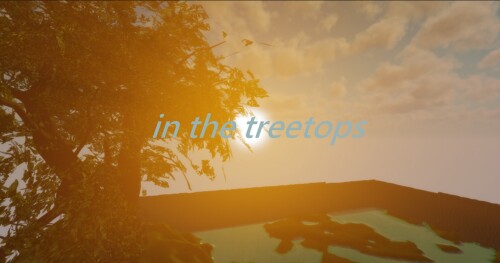 in the treetops